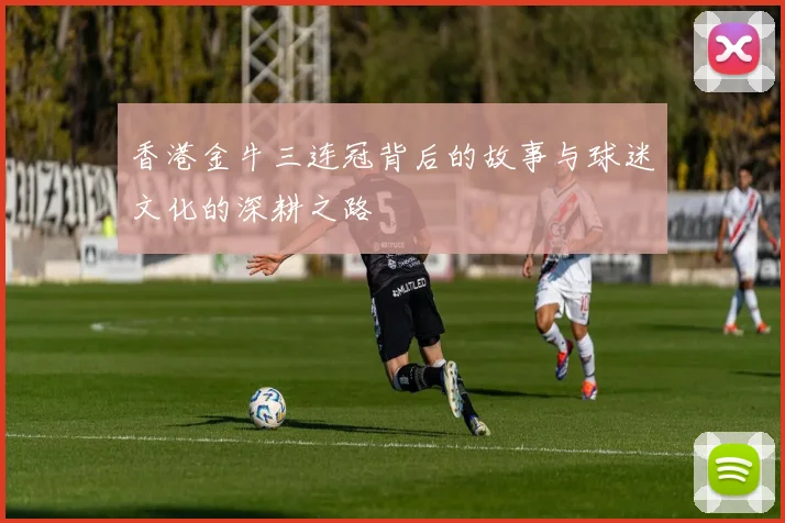 香港金牛三连冠背后的故事与球迷文化的深耕之路